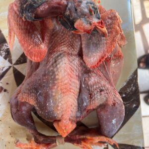 Guinea Fowl